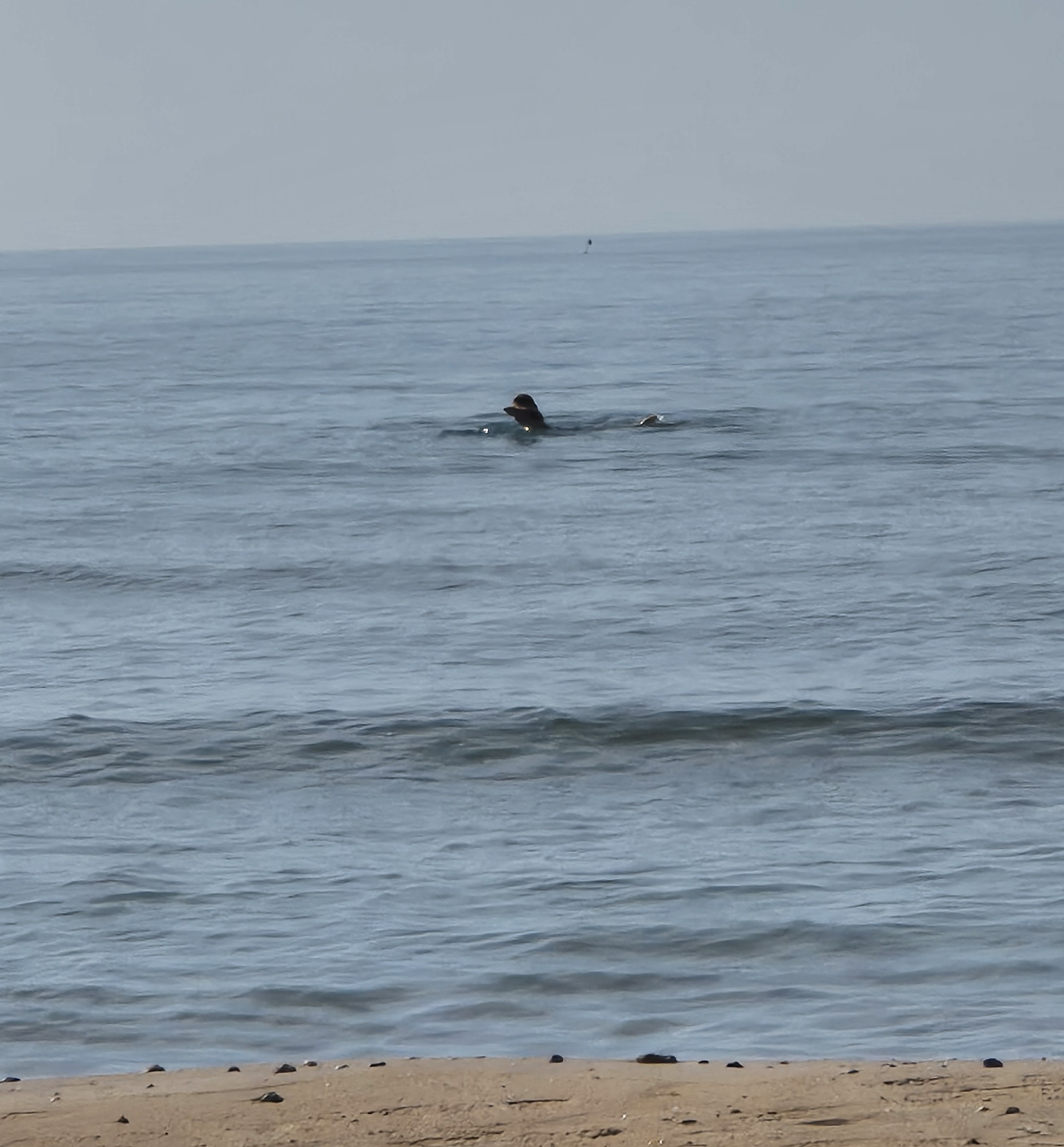 Swimming in the Mediterranean